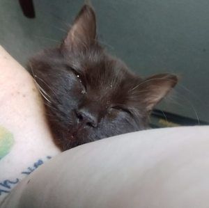 Meet your Posher, Christina